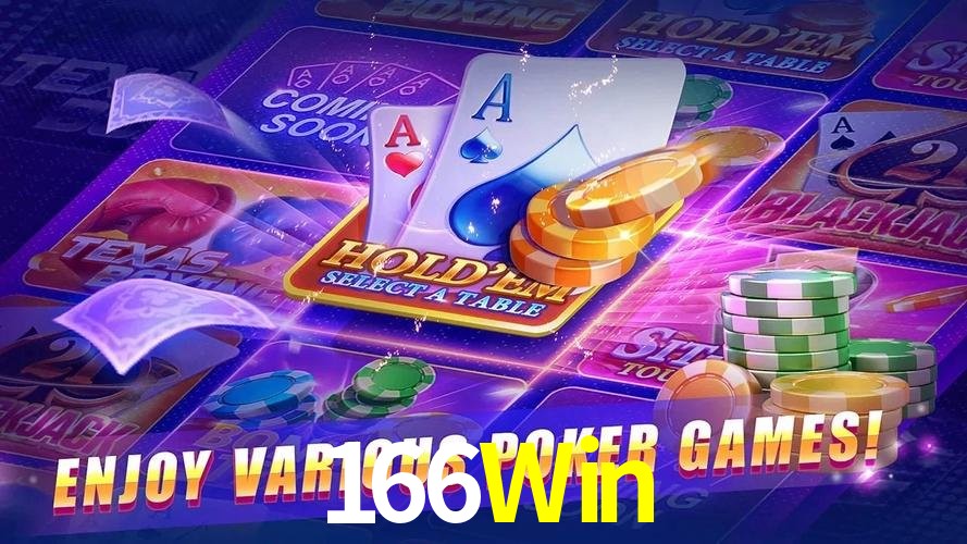 Tecnologia da Plataforma 166Win